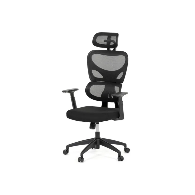 Ergonomická kancelářská židle LEXON - černá síťovina