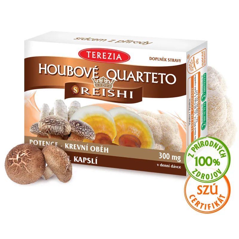 TEREZIA Hubové quarteto s reishi