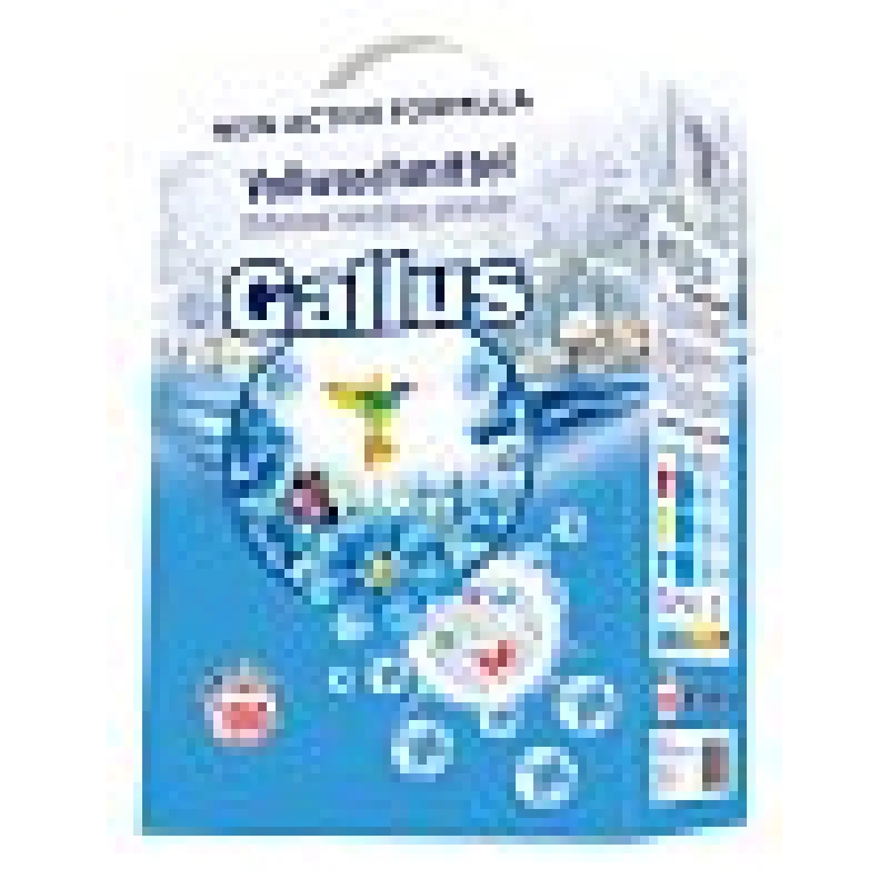 Gallus Prací Prášek Universal 6,5kg