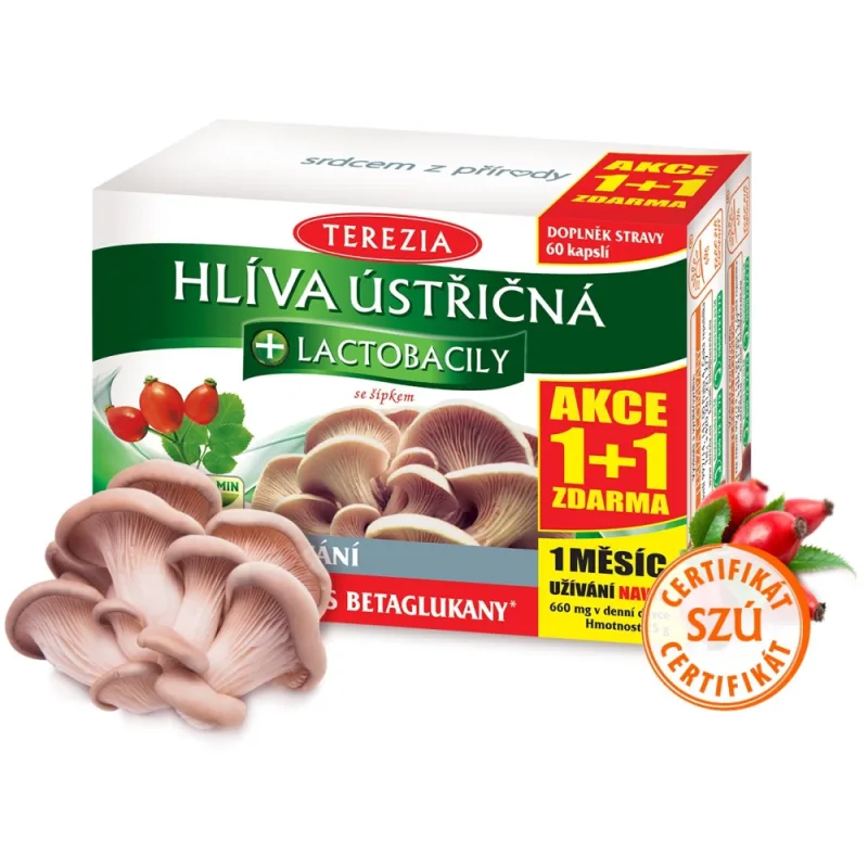 TEREZIA HLIVA USTRICOVITÁ + LAKTOBACILY so šípkami 60+60 kapsúl