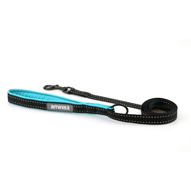 Aminela Sport & City jednoduché vodítko nepodšité pro malá plemena 16mm x 150cm - tyrkysová