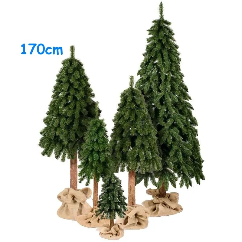 Vánoční stromek 170cm Smrk horský s přírodním kmenem