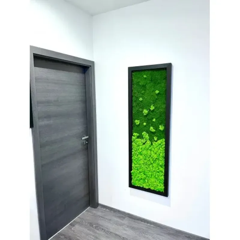 Mechový obraz z plochého a sobího mechu 150*50cm - dřevěný rám černý