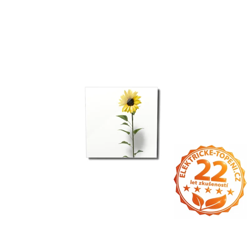 ECOSUN 300 GS-Wifi Mirror