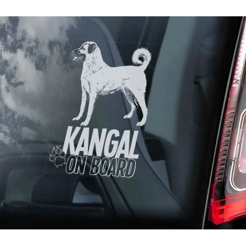 Kangal