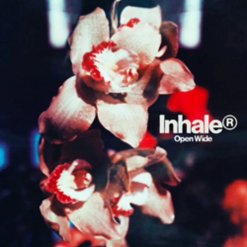 Inhaler - Open wide, 1CD, 2025