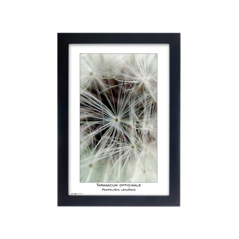 Fotorámeček Natura 20x30 černý