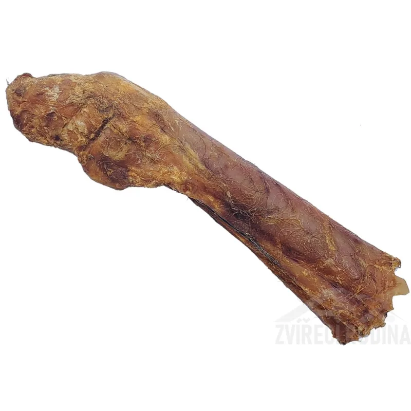 Koňská noha 35-40cm