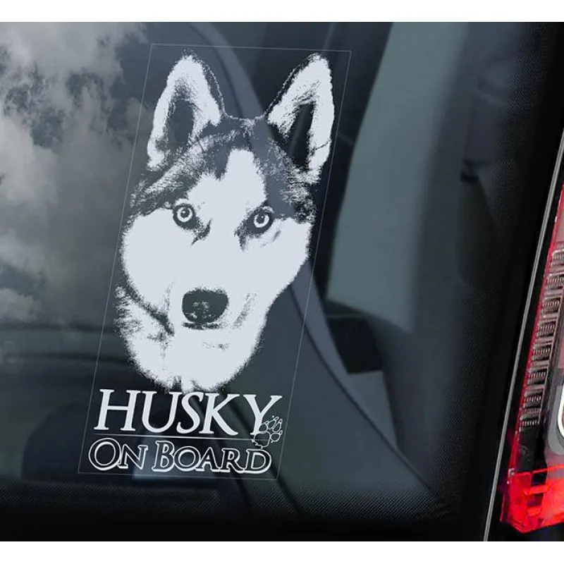 Sibiřský hasky