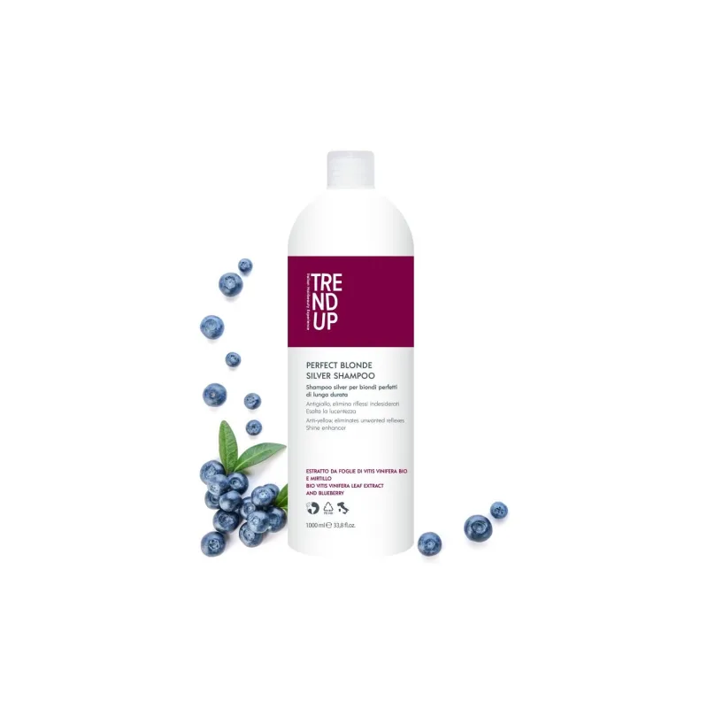 Trend up SILVER Šampon pro blond vlasy, pro neutralizaci žlutých tónů, oživení barvy