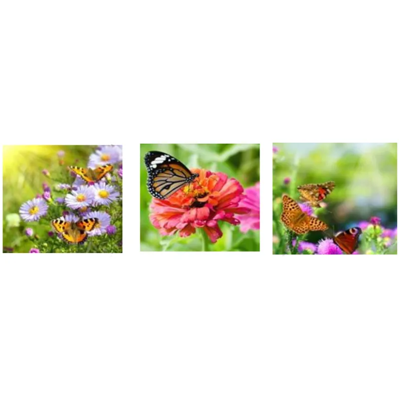 CANVAS meadow 20x60