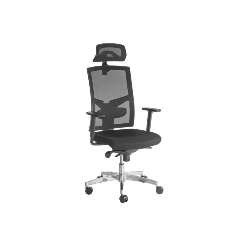 Ergonomická kancelářská židle DESALUTE - černá síťovina / nosnost 150 kg