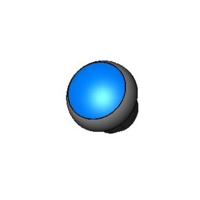 BLUE PUSH BUTTON SWITCH