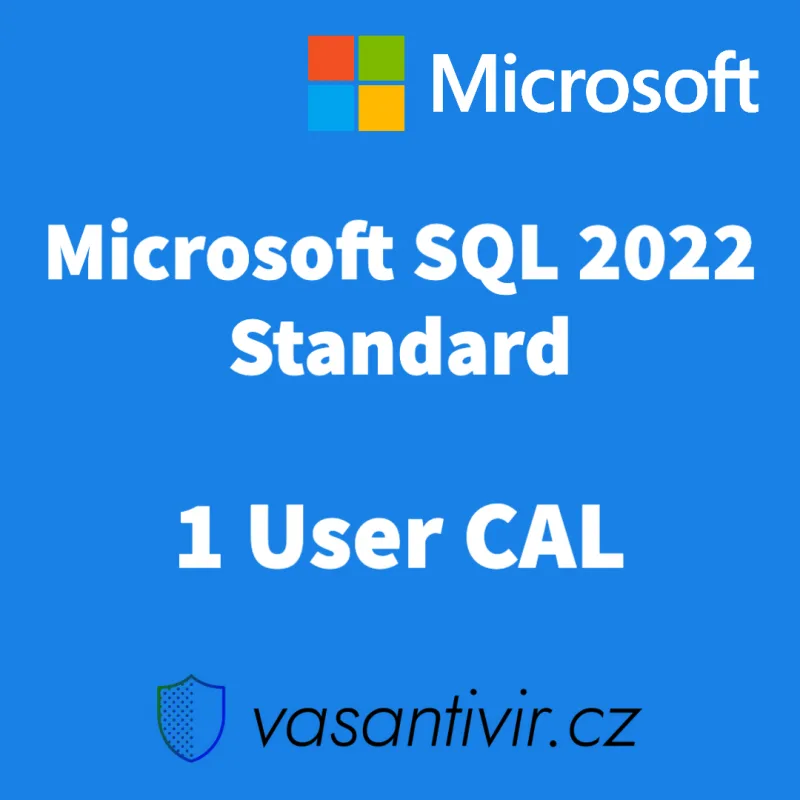 Microsoft SQL Server 2022 Standard 1 User CAL, druhotná