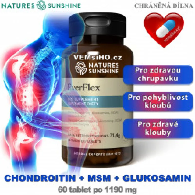 NSP EverFlex | ZDRAVÉ KLOUBY, CHRUPAVKA | AKCE: SLEVA