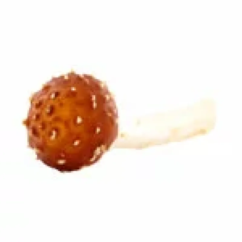 BIO prášek Agaricus Blazei