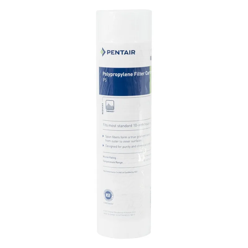 Pentair P5, 10"