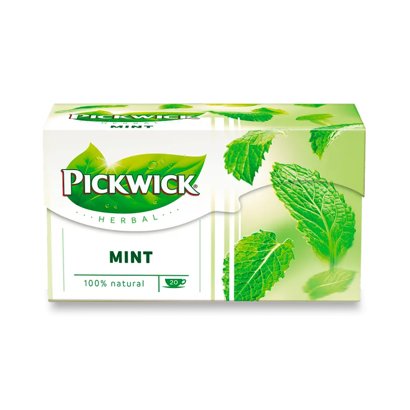 Pickwick - bylinný čaj - máta