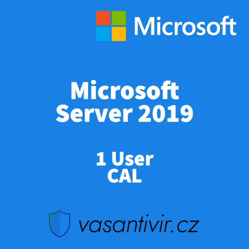 Microsoft Windows Server 2019 - 1 User CAL, druhotná