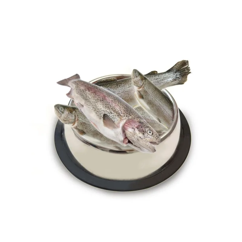 Pstruh kuchaný 1kg
