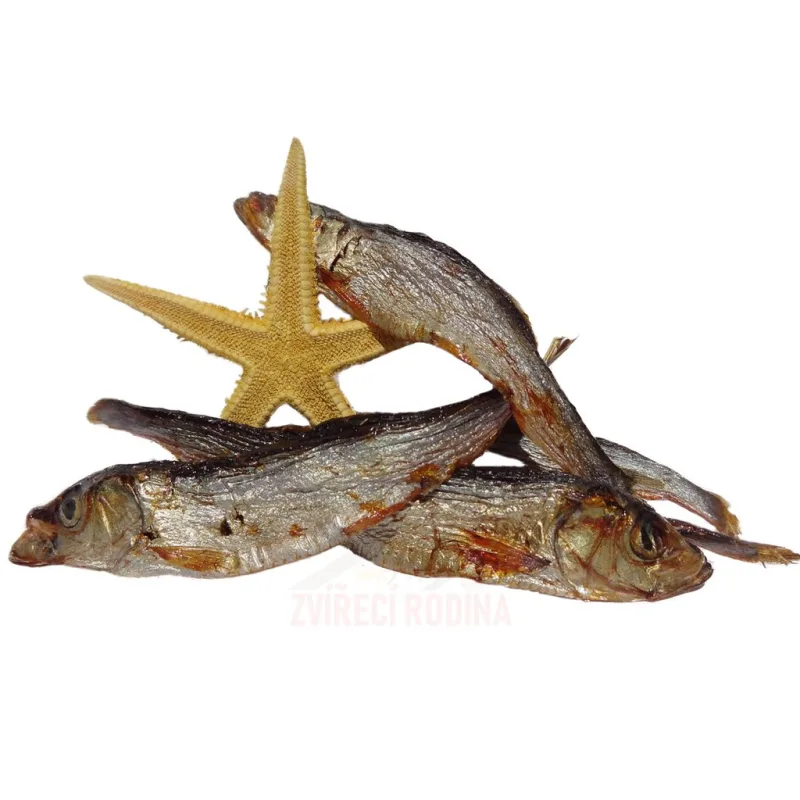 Sušené šproty 50g