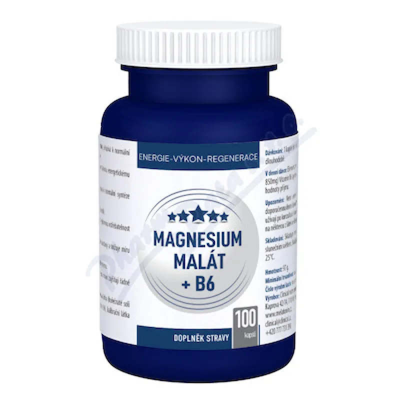 Magnesium malát + B6 cps.100