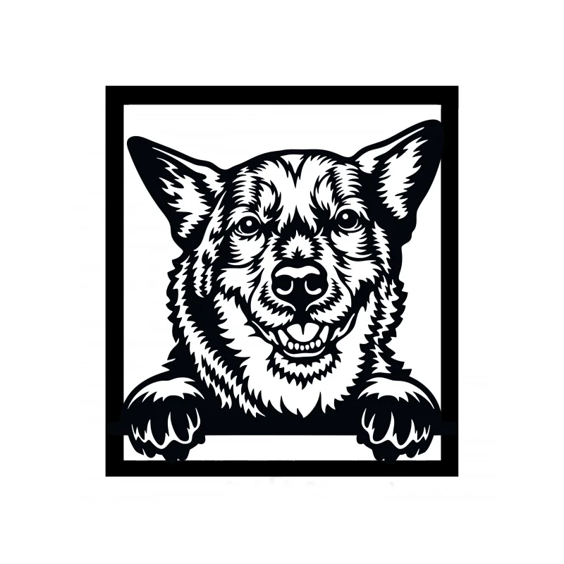 Obraz na ścianę - Australijski owczarek kelpie.