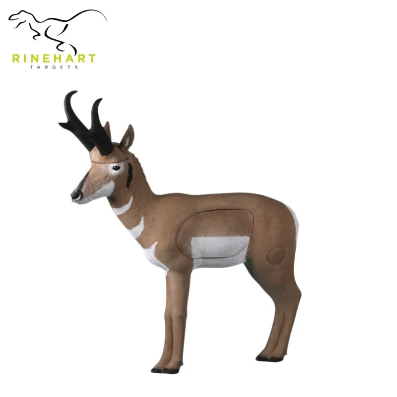 3D terčovnice Pronghorn Antilopa
