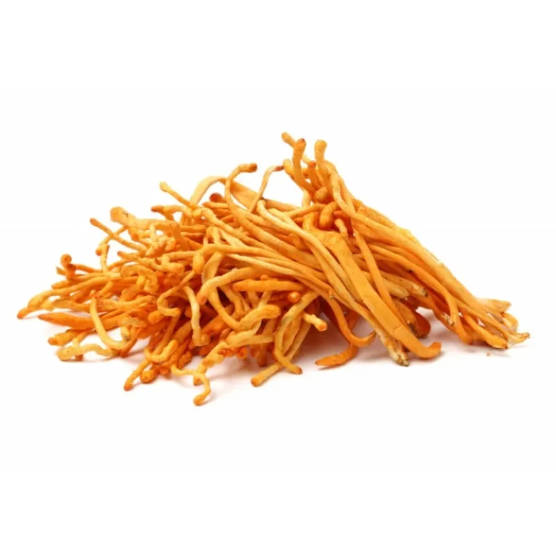 BIO prášek Cordyceps sinensis