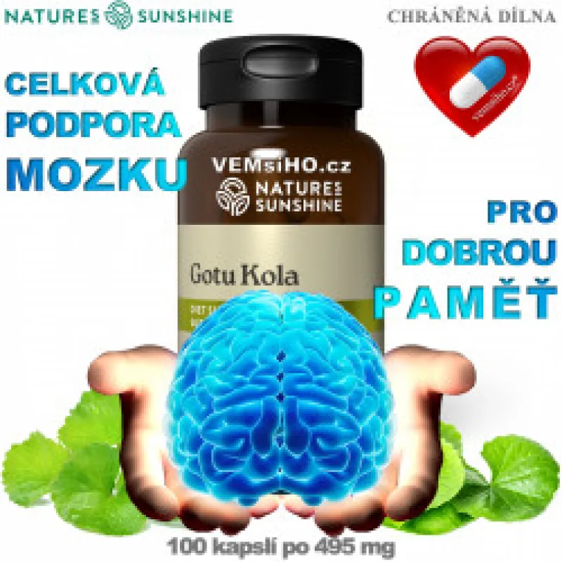 NSP Gotu Kola | Centella asiatica | BETTER MEMORY, HEALTHY BRAIN, BLOOD CIRCULATION | DISCOUNT