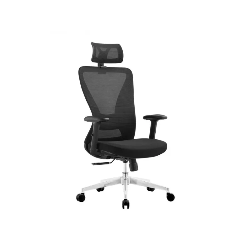 Ergonomická kancelářská židle ERGODO CORVIA - černá síťovina / nosnost 150 kg
