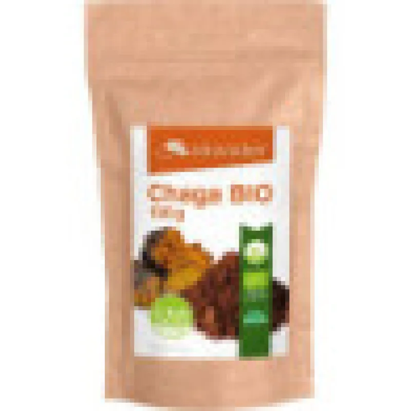 Chaga BIO 100g