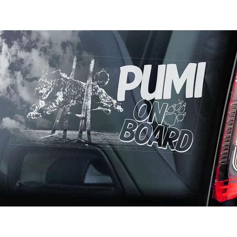 Pumi - Agility