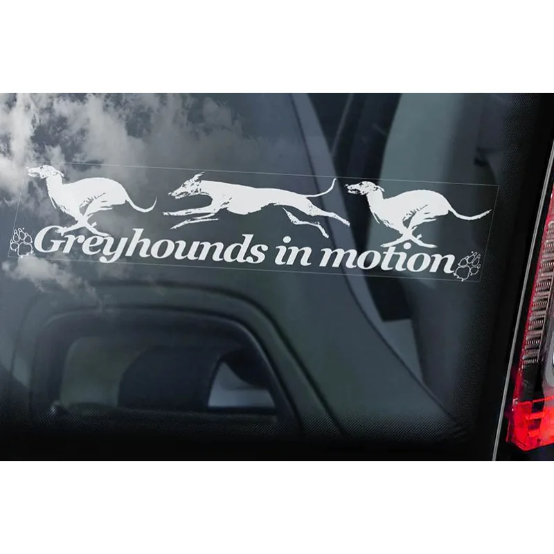 Greyhound - běžící trojice