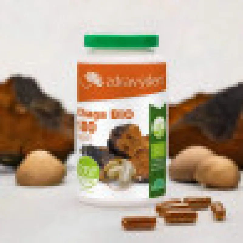 Chaga BIO 180 Kapseln