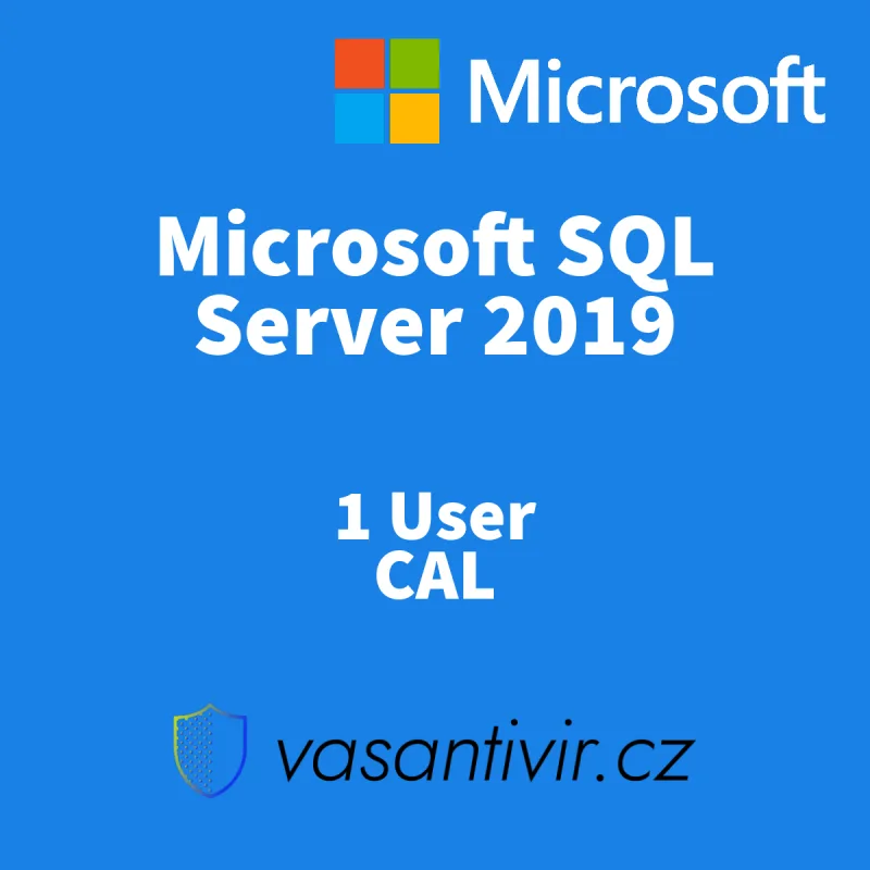Microsoft SQL Server 2019 Standard 1 User CAL, druhotná