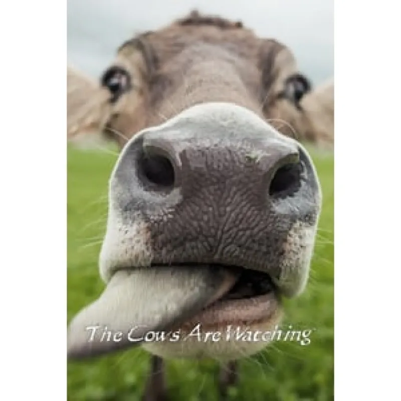 The Cows Are Watching