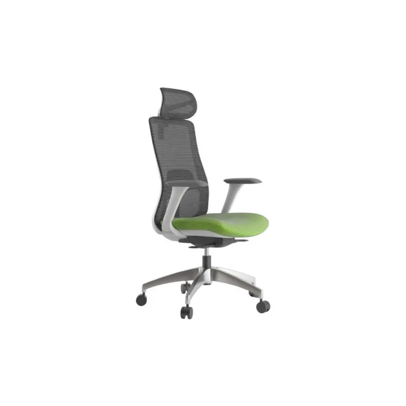 Ergonomická kancelářská židle TIANA - šedá síťovina / zelená látka