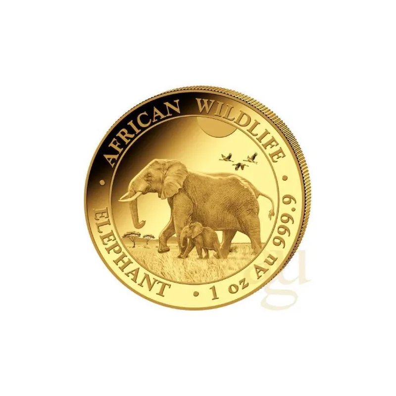 Investiční zlatá mince somálský slon 2022-African Wildlife 1 Oz