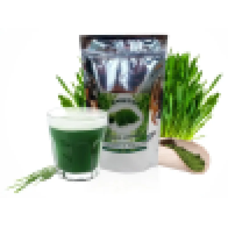 Mladý ječmen 500g