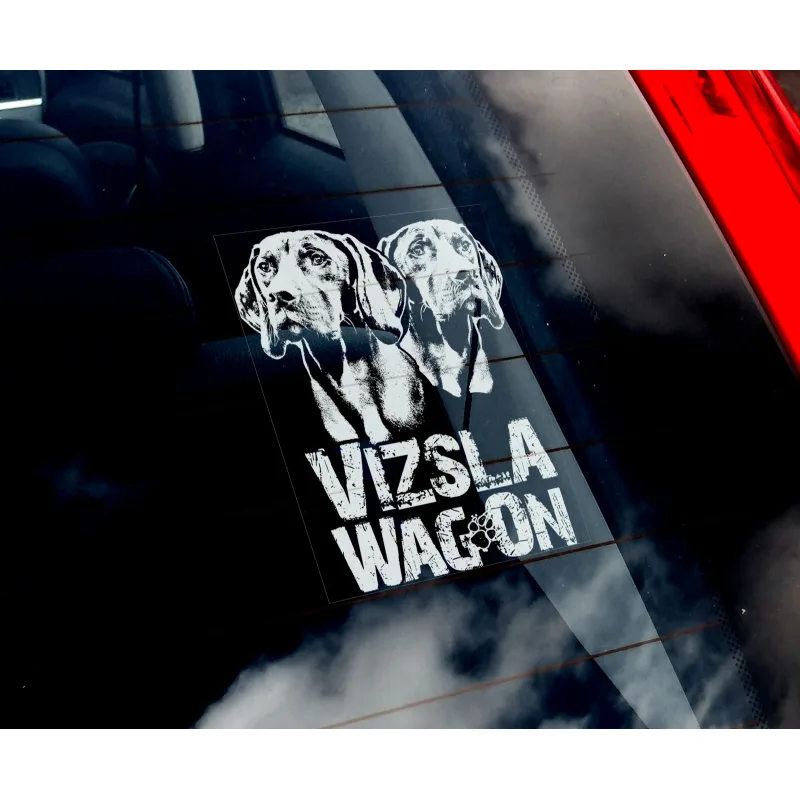 Maďarská vizsla - dvojice
