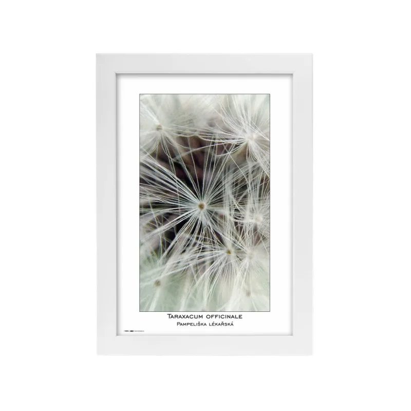 Fotorámeček Natura 20x30 bílý