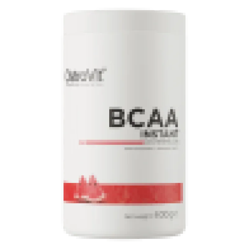 BCAA Instant 400g meloun