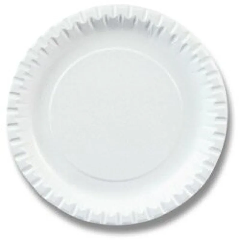 Paper plate