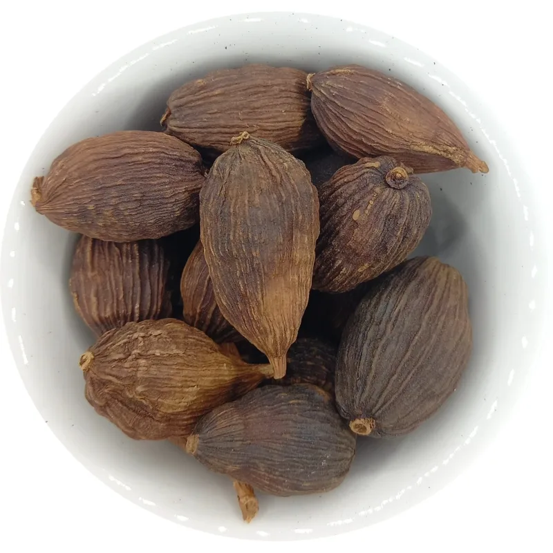 Černý kardamom - Black cardamom