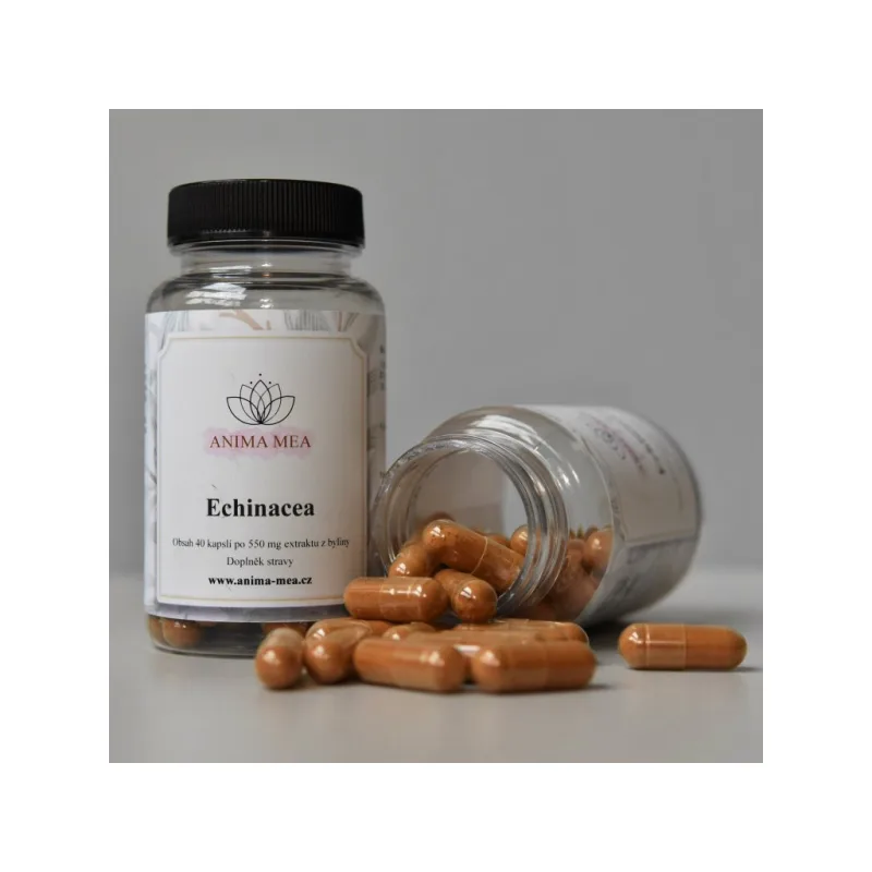 Echinacea 40 cps AMIMA MEA