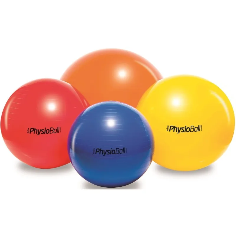 PhysioBall Standard Ledragomma 95 cm