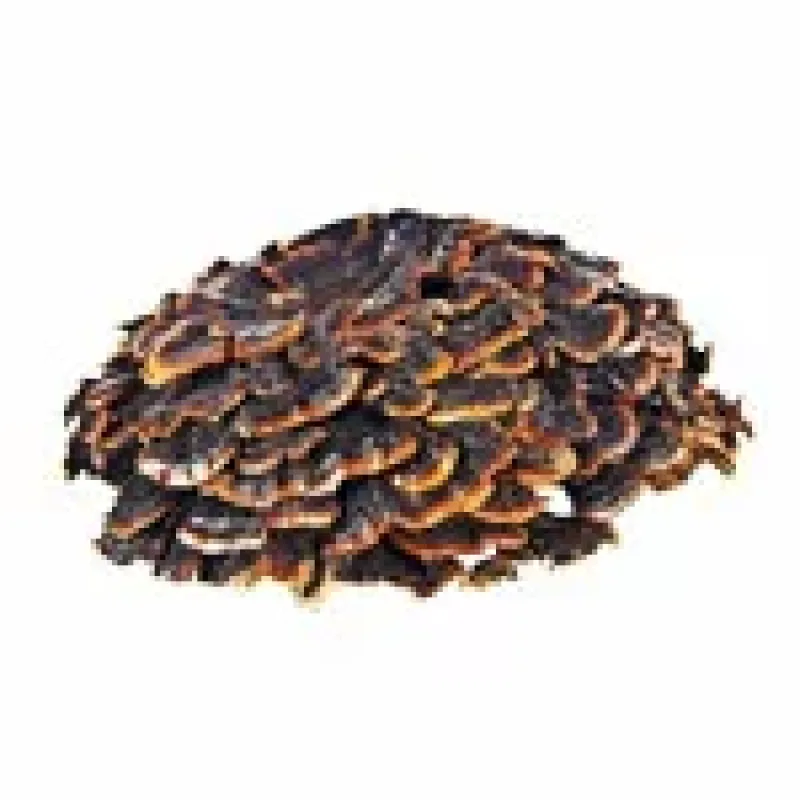 Extrakt Coriolus 50% – náhled 1