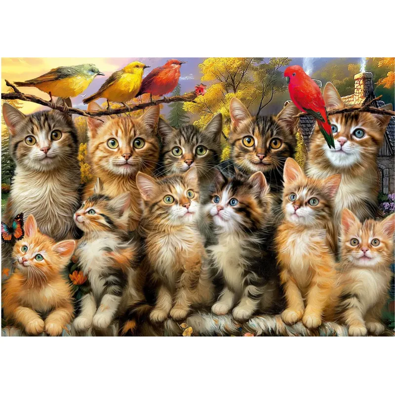 Puzzle Mačiatka a vtáky