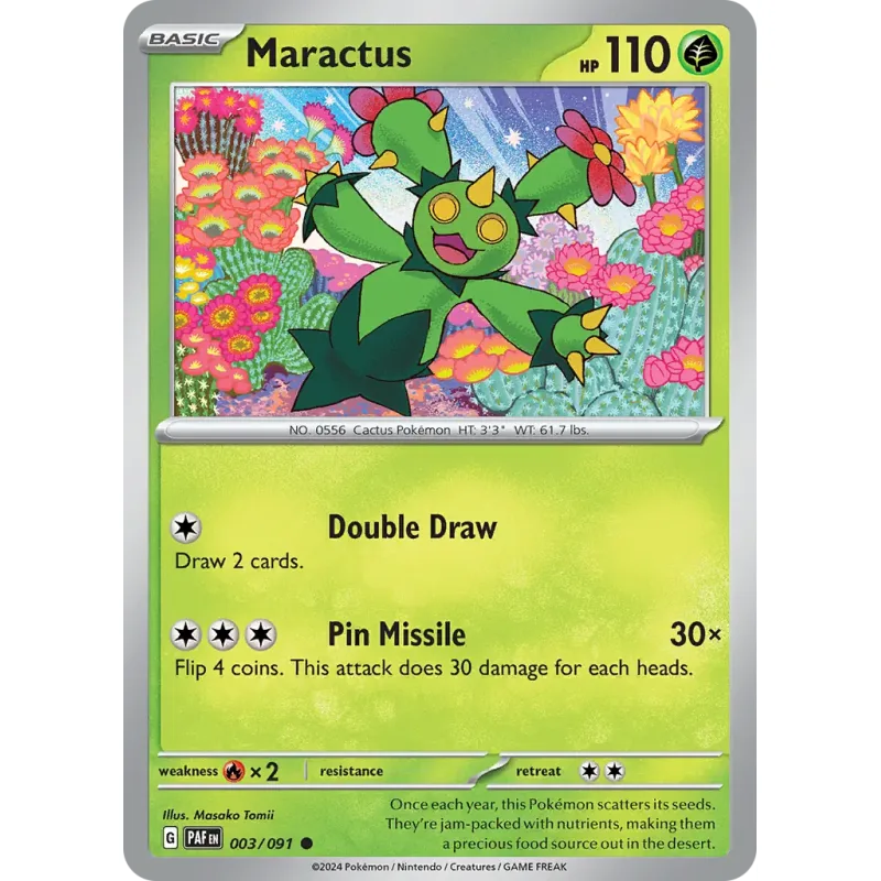 Maractus (PAF 003)